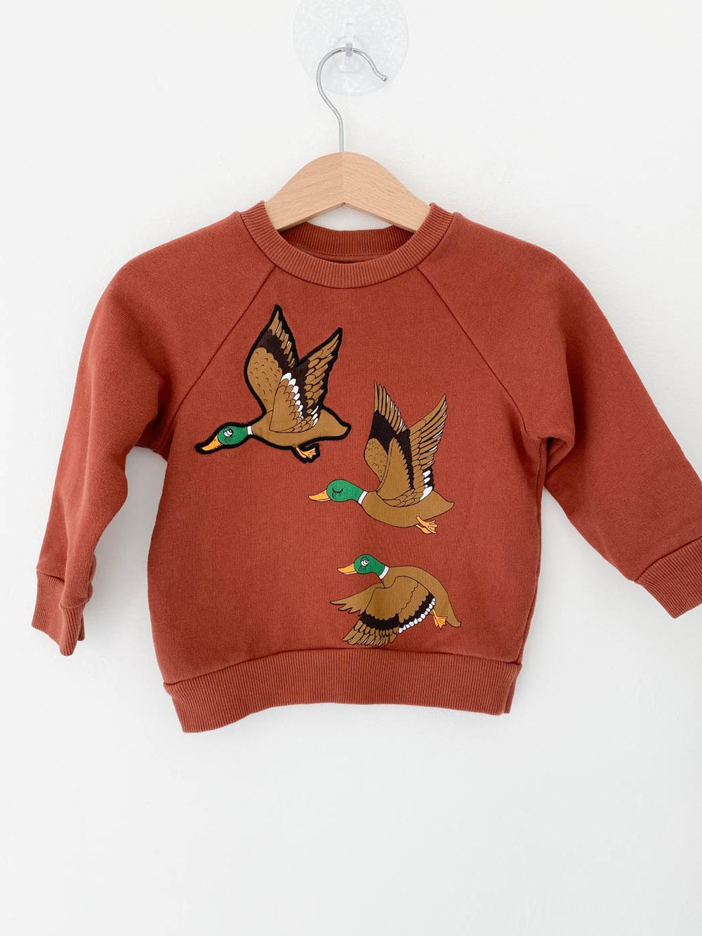 Свитшот Mini Rodini