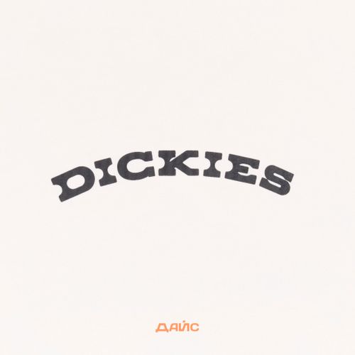 Футболка мужская Dickies Outdoor артикул:DK0A4Z8PC481 - купить в магазине Дайс