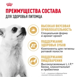Royal canin chihuahua adult сухой корм для собак породы чихуахуа в возрасте 8 месяцев - 1,5 кг