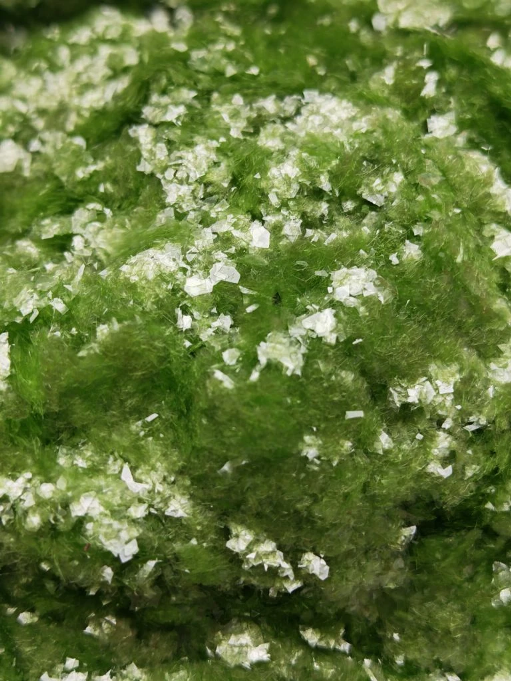 Хлопья - слюда 88306 Нежная мята прозрачный глянец - для литья изделий и творчества