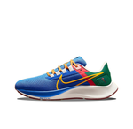 Мужские кроссовки Nike Air Zoom Pegasus 38 AIR 'll Ways, Always' DO7763-400