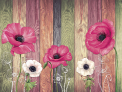 Коллекция Цветы