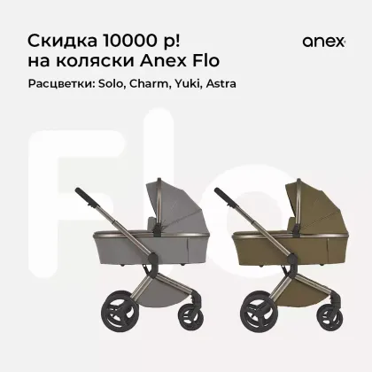 Скидка на Anex Flo - 10000 рублей!