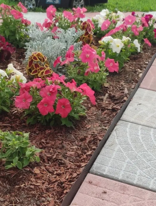 Лента бордюрная Протэкт (30см/9м) хаки