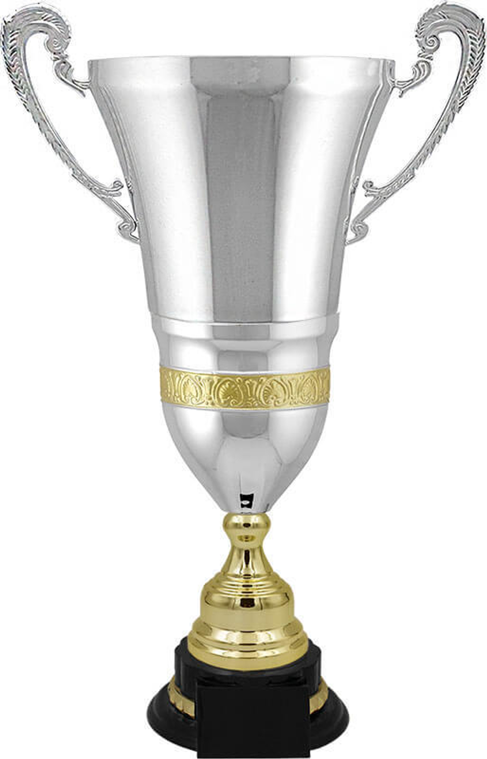 Кубок Вебстер 51 см