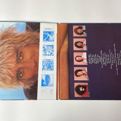 Винтажная виниловая пластинка LP Rod Stewart Blondes Have More Fun (Japan 1978) (Obi) Da Ya Think I'm Sexy?