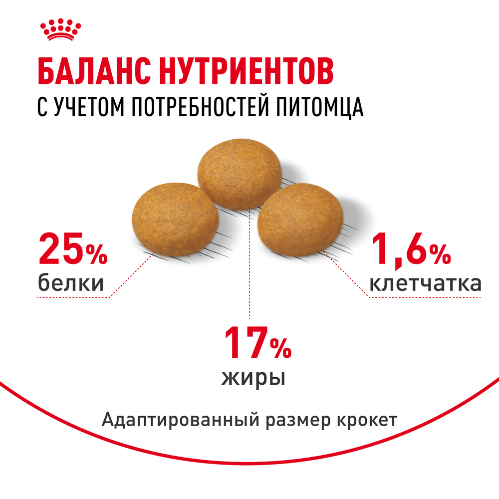 Royal Canin Maxi Dermacomfort Макси Дермакомфорт Корм сухой для взрослых собак крупных размеров при раздражениях и зуде кожи 10кг