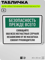 Табличка для обеспечения безопасности "Безопасность прежде всего", для производства, предприятия, 40х30 см, Silver Plane x Айдентика Технолоджи