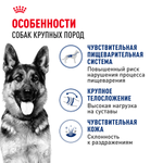 Royal Canin Maxi Adult Корм сухой для взрослых собак крупных размеров от 15 месяцев до 5 лет 3 кг