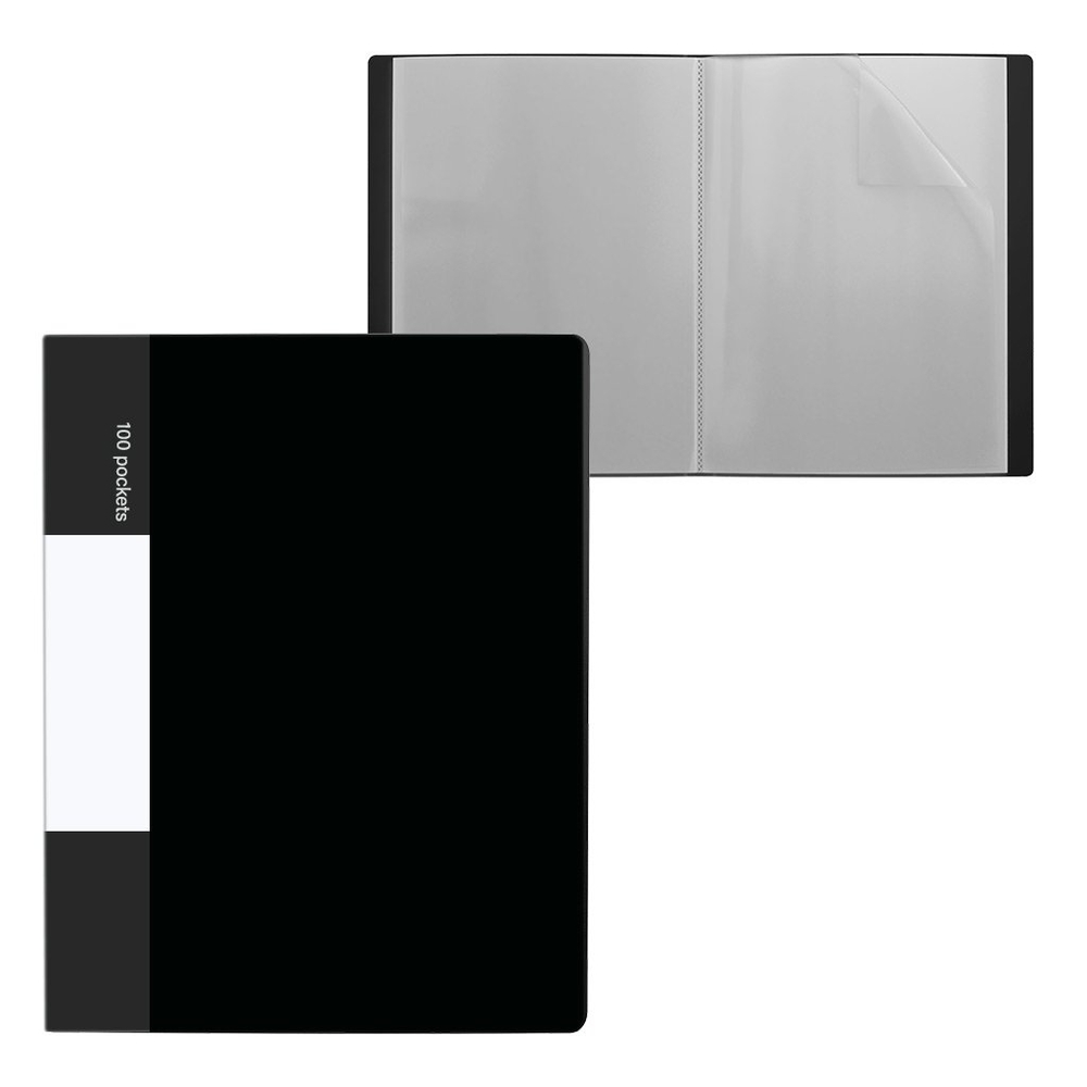 Папка с 100 вкладышами, А4, 50мм, 650 мкм, Alingar, пластик, матовые цвета ассорти