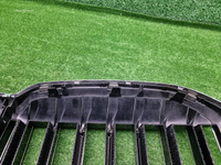 Решетка радиатора BMW X7 G07 (2019-2022)