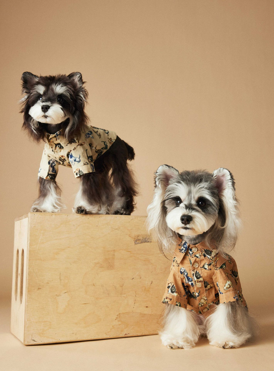 Рубашка для собак Таксы