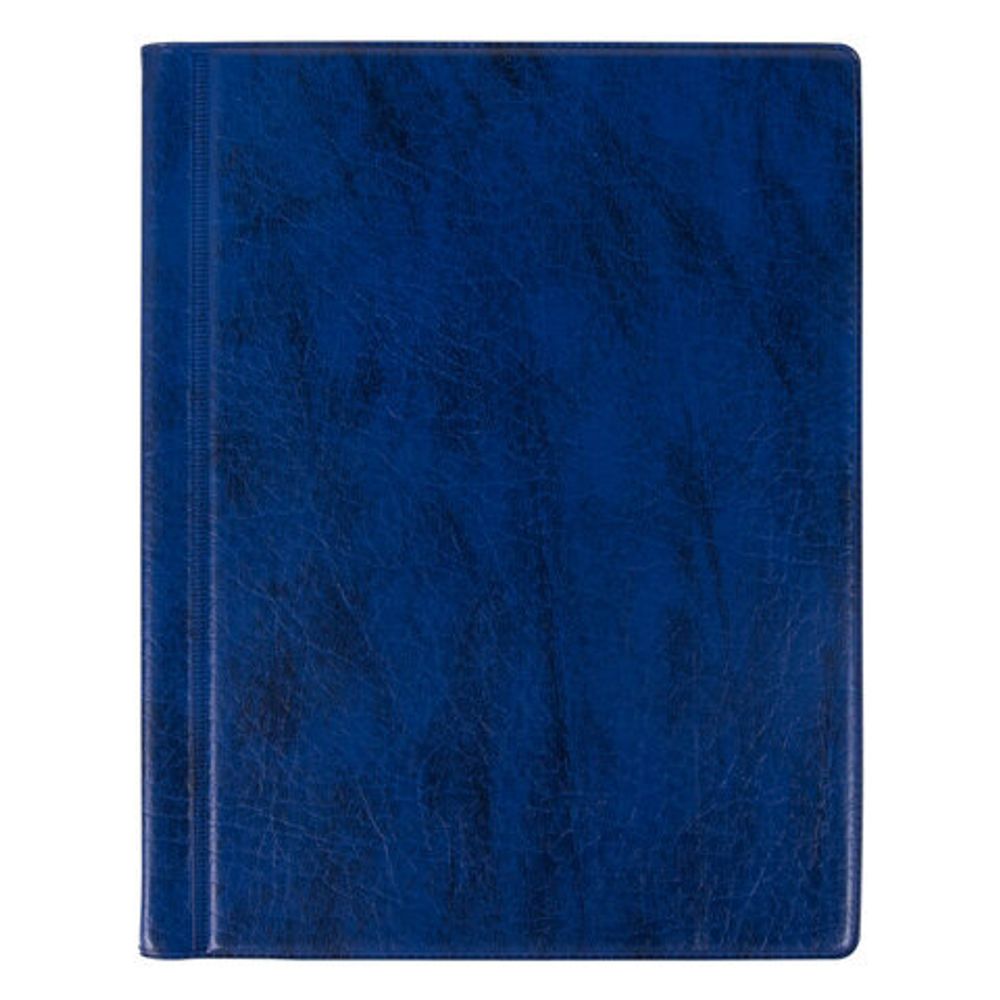 Альбом нумизмата для 90 монет (диаметр до 32 мм), 145х185 мм, синий, ОСТРОВ СОКРОВИЩ, 237958