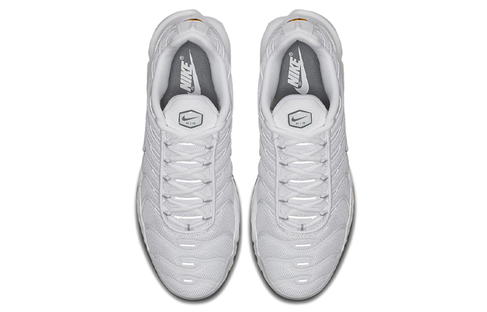 Кроссовки Nike Air Max Plus