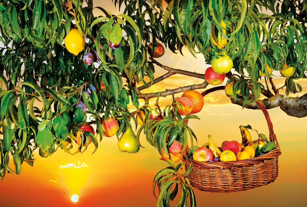 Коллекция Кухня