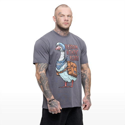 Футболка CLAN13 GOOSE, серый