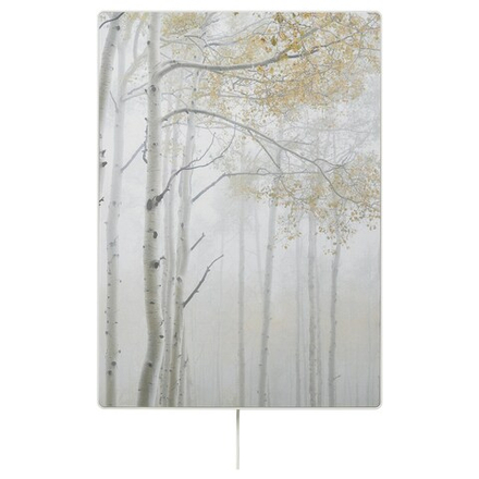 IKEA SYMFONISK  (ИКЕА СЙМФОНИСК)  -  Панно в рамке, деревья в тумане