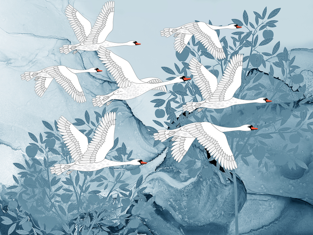 Коллекция GUSILEBEDY