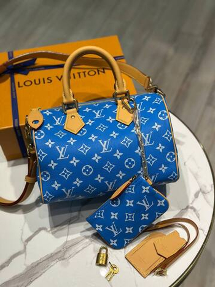 Сумка Louis Vuitton