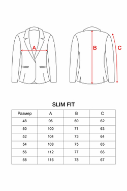 SLIM2