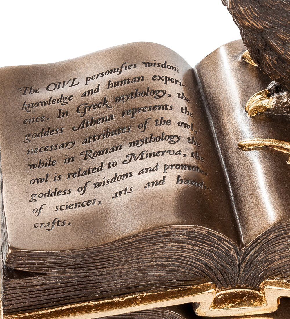 Veronese WS- 48/ 2 Шкатулка «Сова»