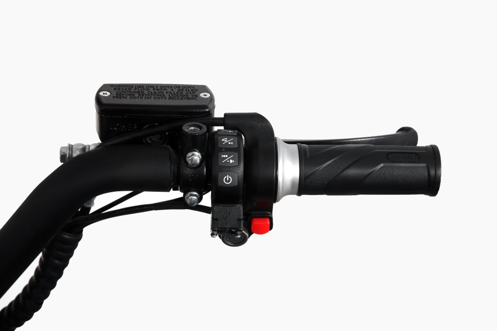 Электроскутер Skyboard Amur BR100 5000W Red