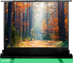 Проекционный экран Cactus FloorExpert (CS-PSFLE-180X135)