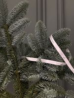 Нобилис - 1 ветка