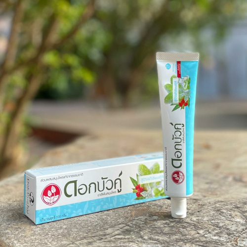 Растительная зубная паста Свежесть и Прохлада Toothpaste Herbal Fresh & Cool Twin Lotus