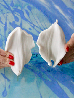 Вайнер лепестка Каллы