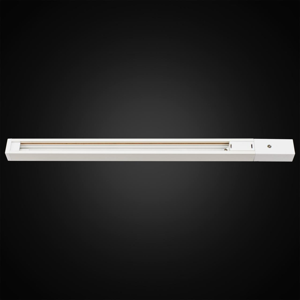 Шинопровод однофазный Citilux Тубус CL01AT200 2м