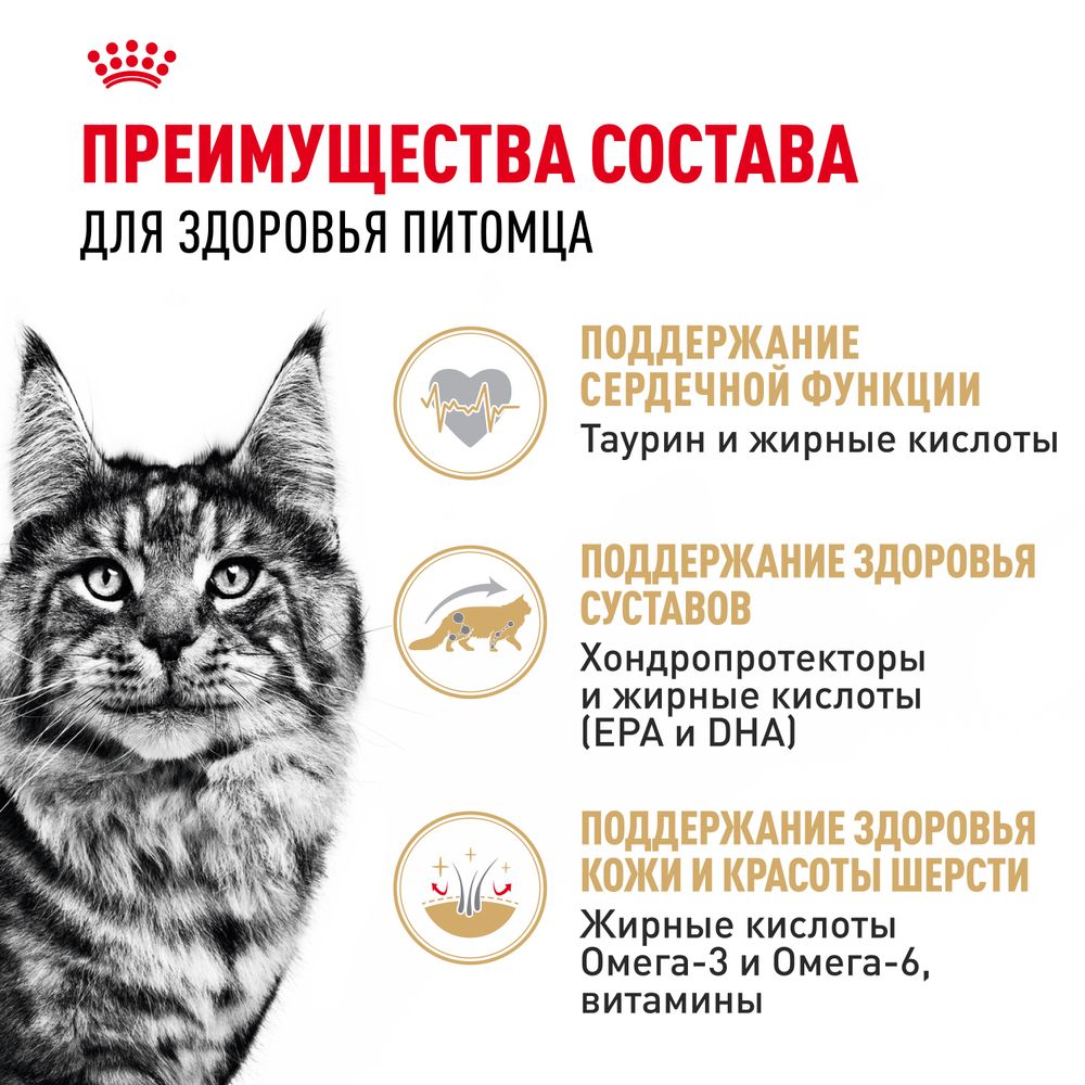 Пауч Royal Canin Maine Coon Adult для взрослых кошек породы Мэйн Кун, мелкие кусочки в соусе Пауч Royal Canin Maine Coon Adult для взрослых кошек породы Мэйн Кун, мелкие кусочки в соусе
