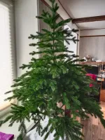 Ель искусственная «Вега» (Литая хвоя) 120 см / 1,2 м