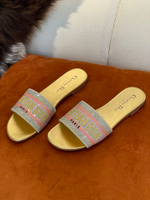 Christian Dior Dway Slide