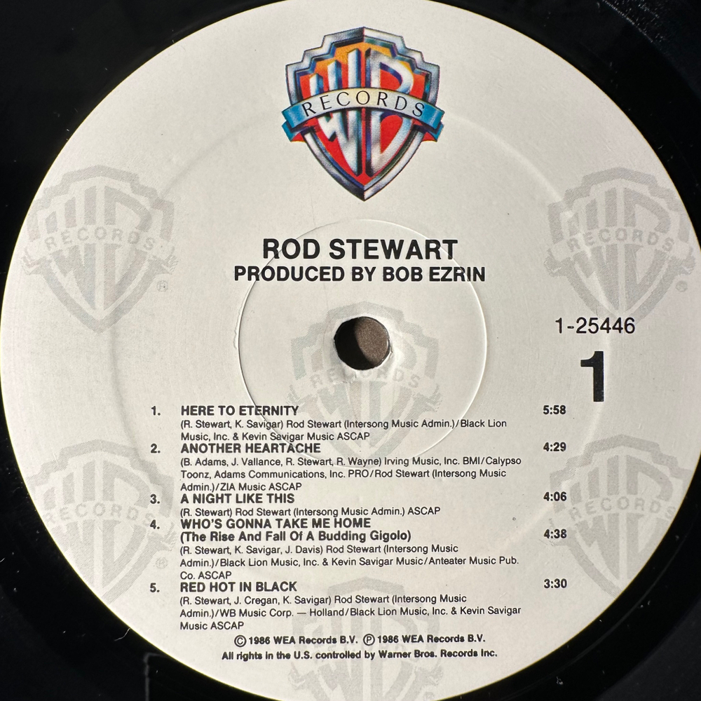 Rod Stewart ‎– Rod Stewart (США 1986г.)