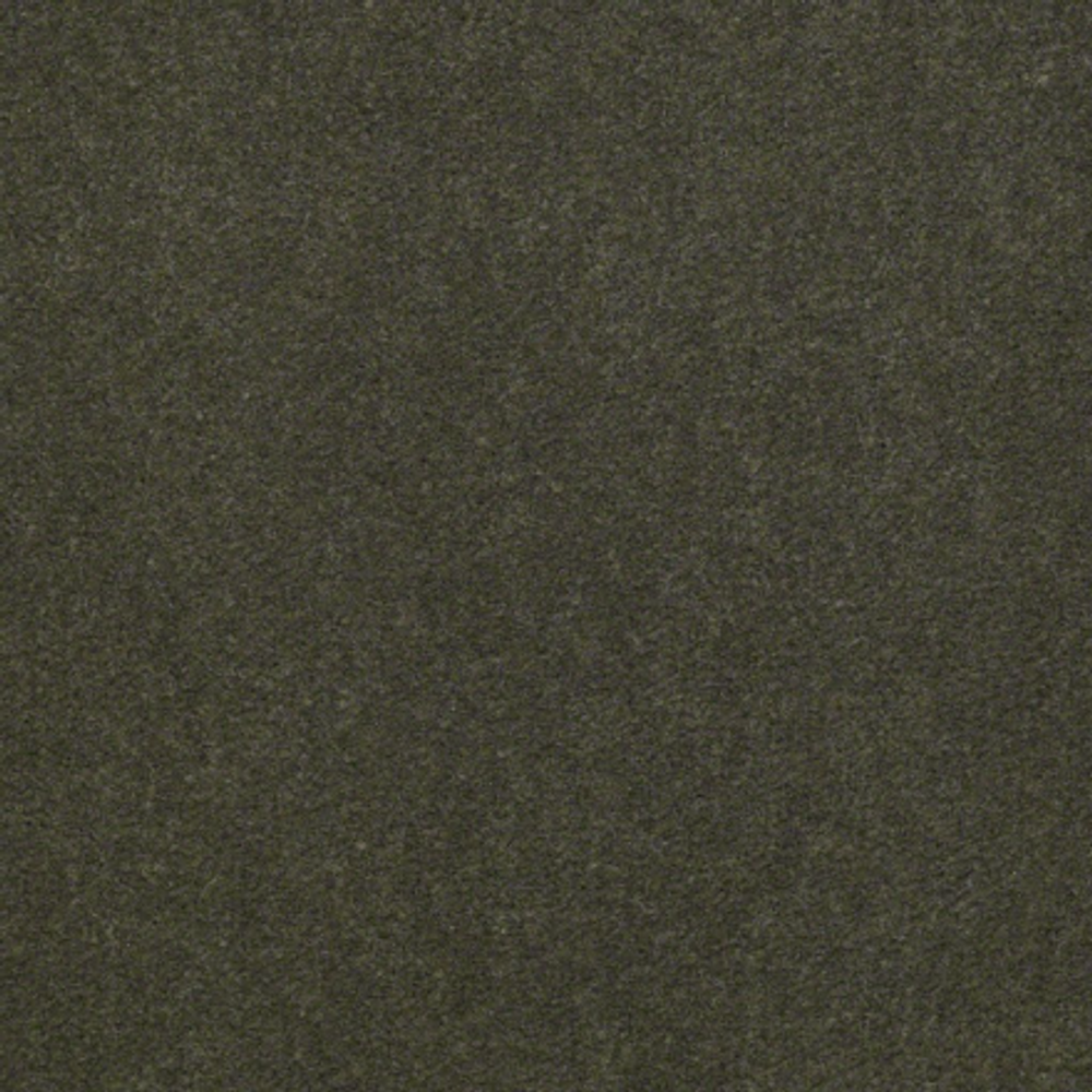 Ковровое покрытие Shaw Floors Emphatic II 30 56314 THYME