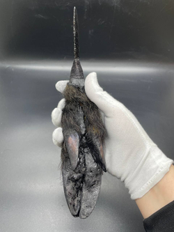 Обсидиановый нож с рукоятью копыта вепря 26 см