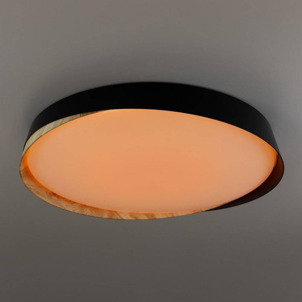 Потолочный светодиодный светильник Citilux BONNY CL754451G