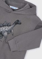 толстовка с капюшоном