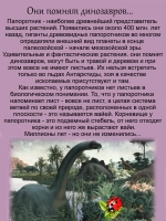 Кочедыжник Сильвер Фолс папоротник