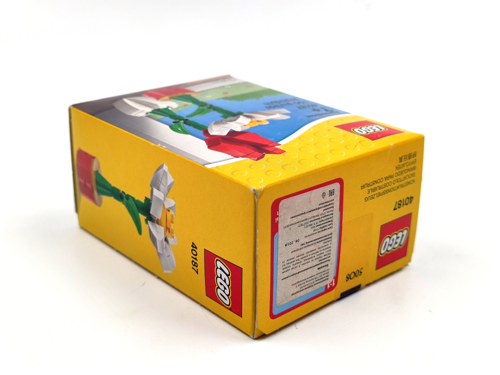 Конструктор LEGO 40187 Комнатные цветы