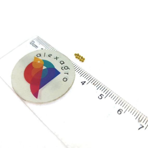 Колеус Блюме KONG ROSE