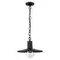 4833/1 NATURE ODL21 741 черный/стекло Ландшафтный светильник-подвес E27 1*40W IP44 FURCADIA
