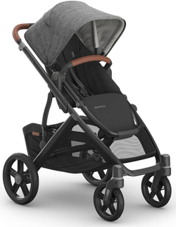 Коляска для погодок UPPAbaby Vista V3 2 в 1 Greyson