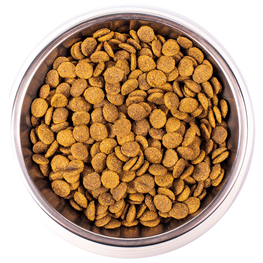 Monge Cat Adult Сухой корм для взрослых кошек с курицей, 400г