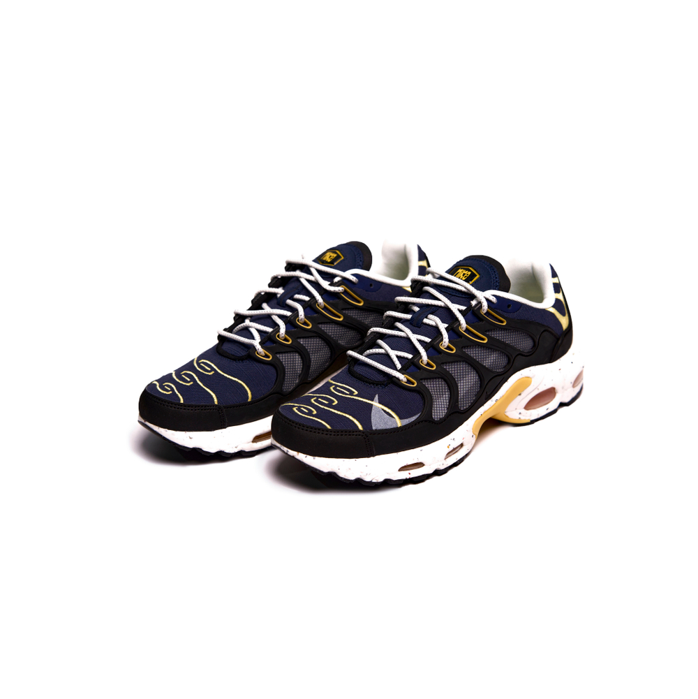 Nike Air Max Terrascape TN Plus "Michigan"