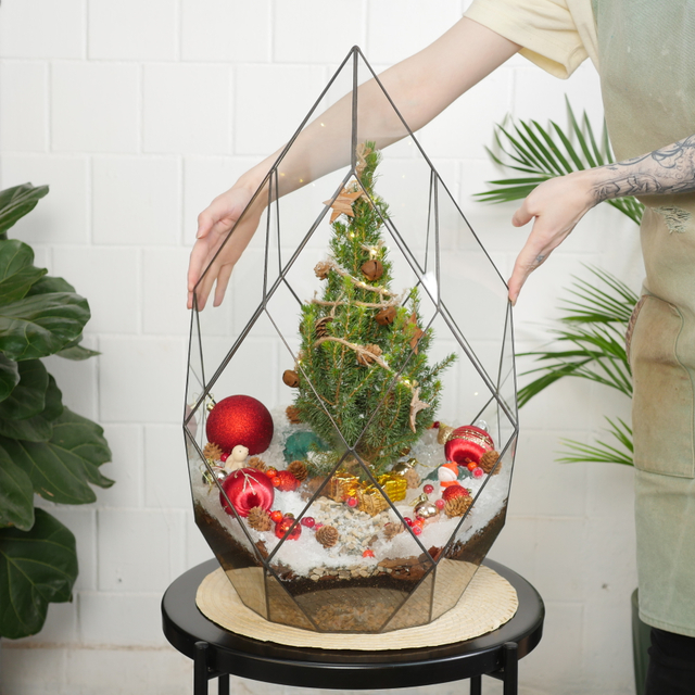 Готовый новогодний флорариум Ель Фаберже