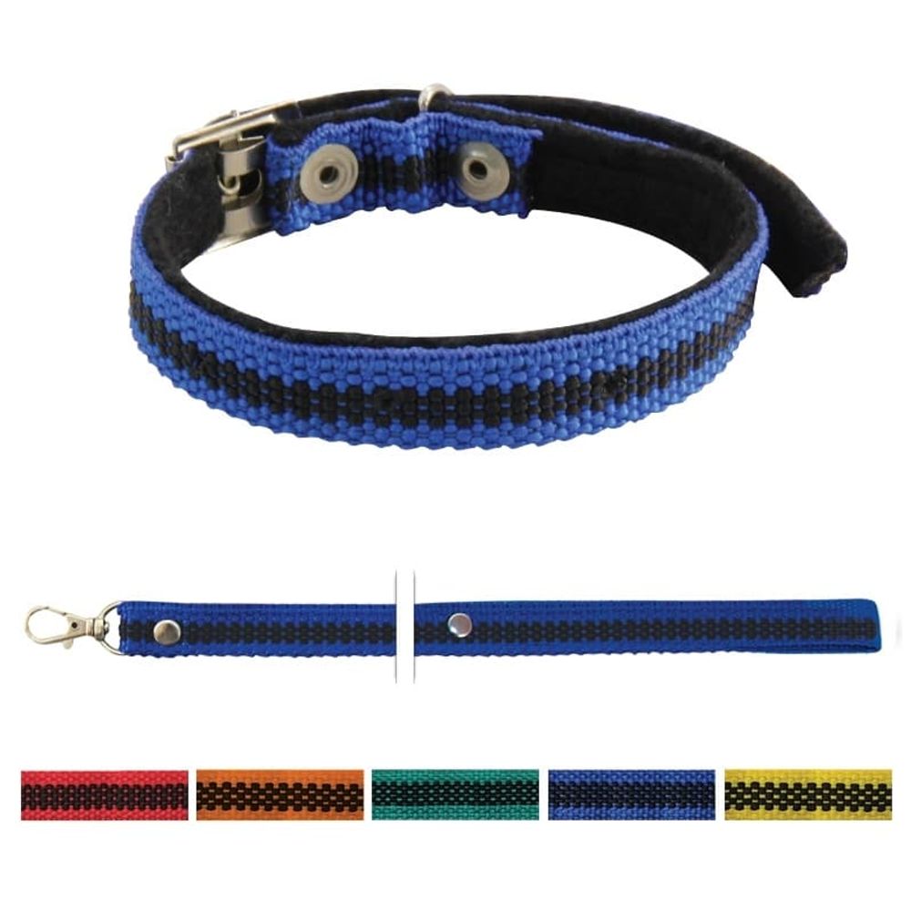 Комплект из ошейника и поводка для кошек Gamma "Палитра", 15*400мм; 15*1500мм