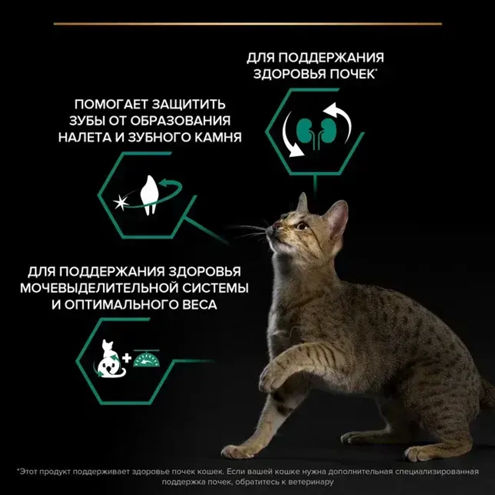 Сухой корм с индейкой Renal plus для взрослых стерилизованных кошек Pro Plan, 400гр+200гр