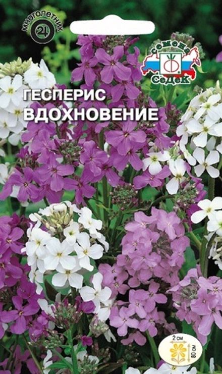 Гесперис Вдохновение смесь (ночная фиалка) Седек